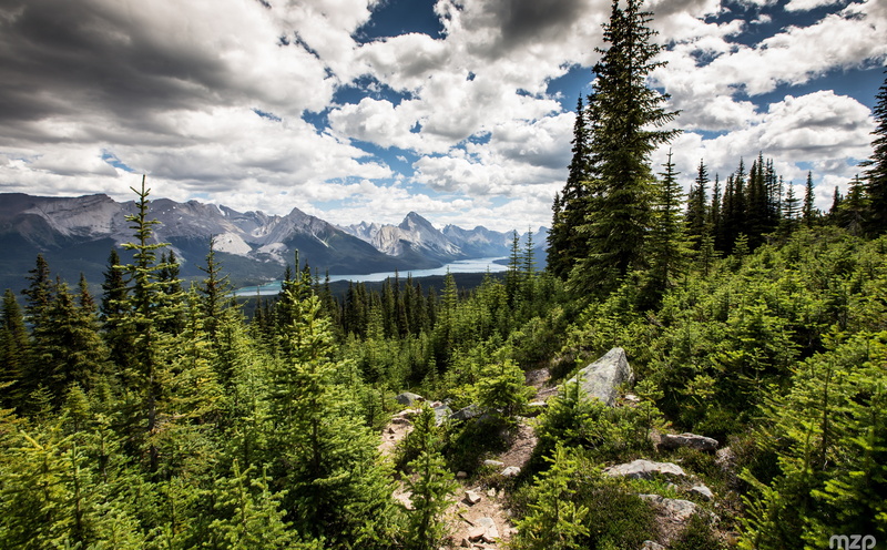 idyllic, growth, Travel, Trees, Alberta, tranquil scene, green, environment, visit, Trip, Nature, non-urban scene, plant, Trail, View, park, scenics - nature