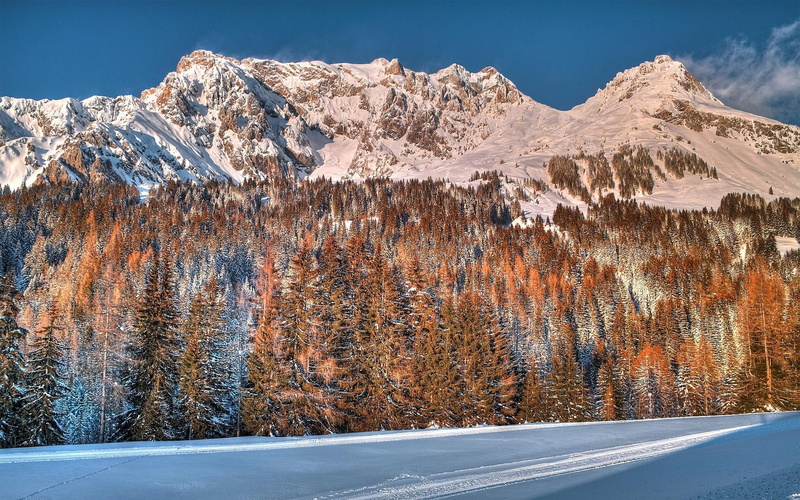 forest, nature and landscapes, mountains, fores, winter, mountain, clouds, hdr, golden, 1080P