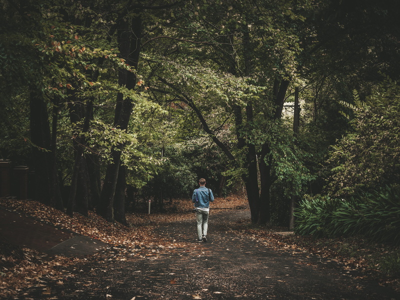 lifestyles, leisure activity, solitude, walking, style, stirling, day, flora, blue, australia, woodland, full length, fashion, person, growth, beauty in nature