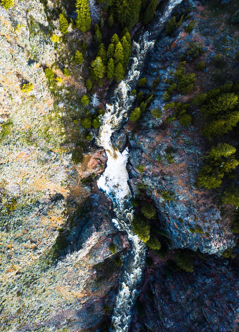 rock, nature, fores, high angle view, swimming, land, forest, drone, rock - object, moss, trees, close-up, outdoors, plant, textured, aerial, beauty in nature