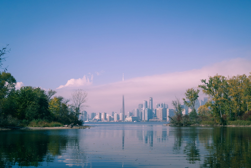 outdoors, building, trees, skyscraper, office building exterior, plant, nature, near, skyline, still, blue, travel destinations, landscape, urban Skyline
