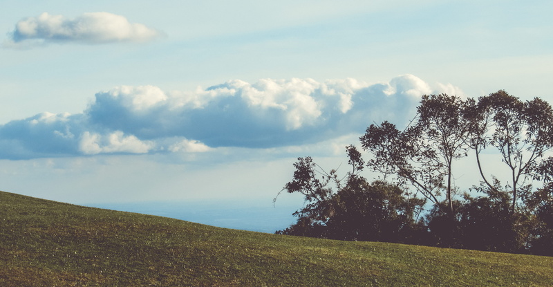 tranquility, growth, grass, scenics - nature, sky, land, tranquil scene, fores, tree, idyllic, mountain, cloud - sky, clouds, plant, nature, brazil, non-urban scene