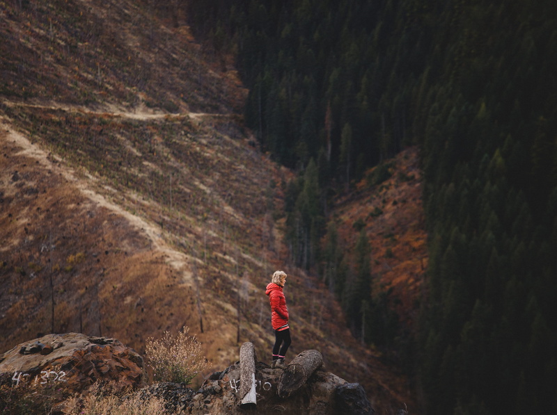 plant, r, fore, mountain, full length, adventure, scenics - nature, x, nature, day, forest, casual clothing, o, rear view, adult, one person, land, l, p