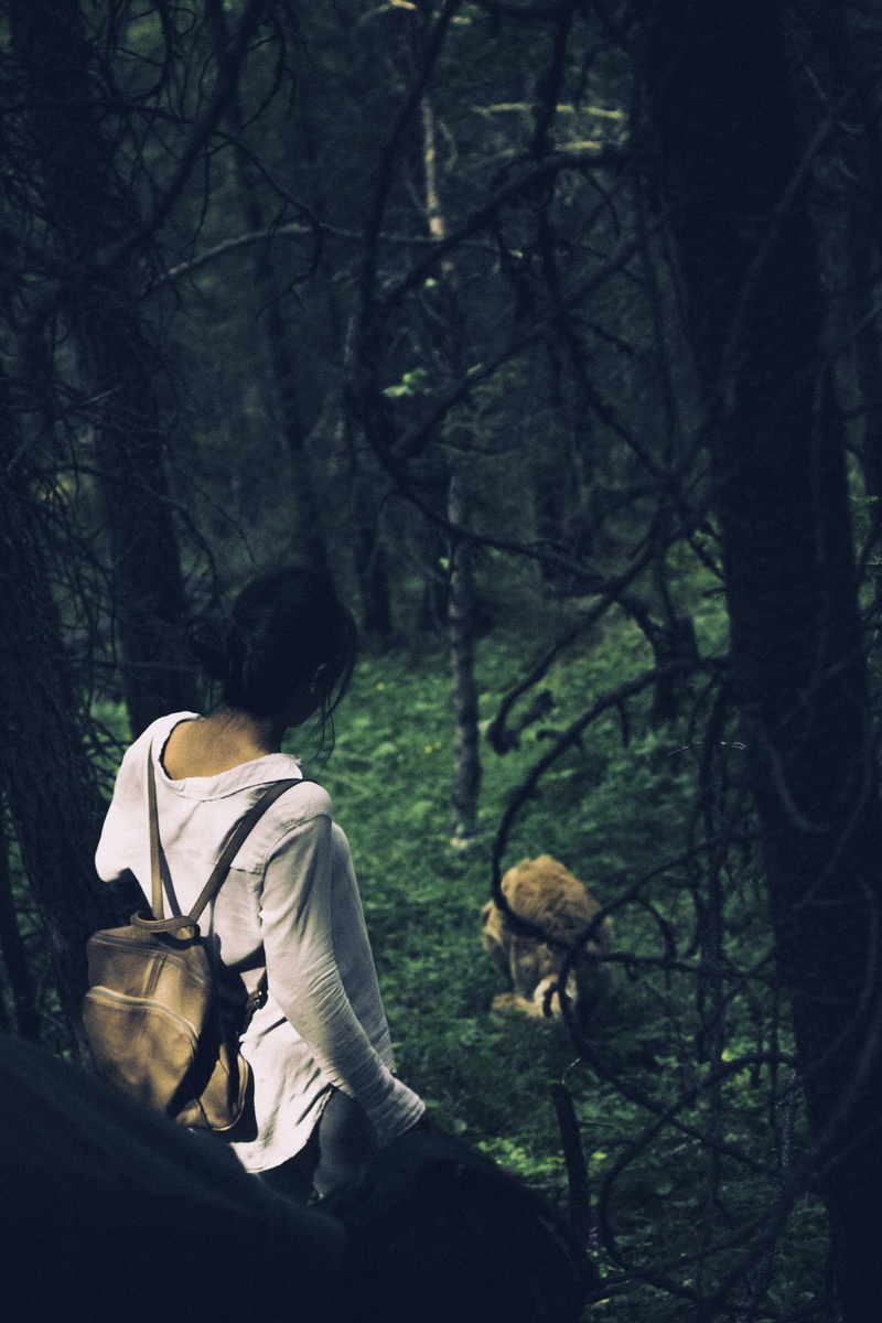 hiking, real people, fores, pets, leisure activity, mammal, outdoors, vertebrate, domestic, walking, people, rear view, lifestyles, domestic animals, plant