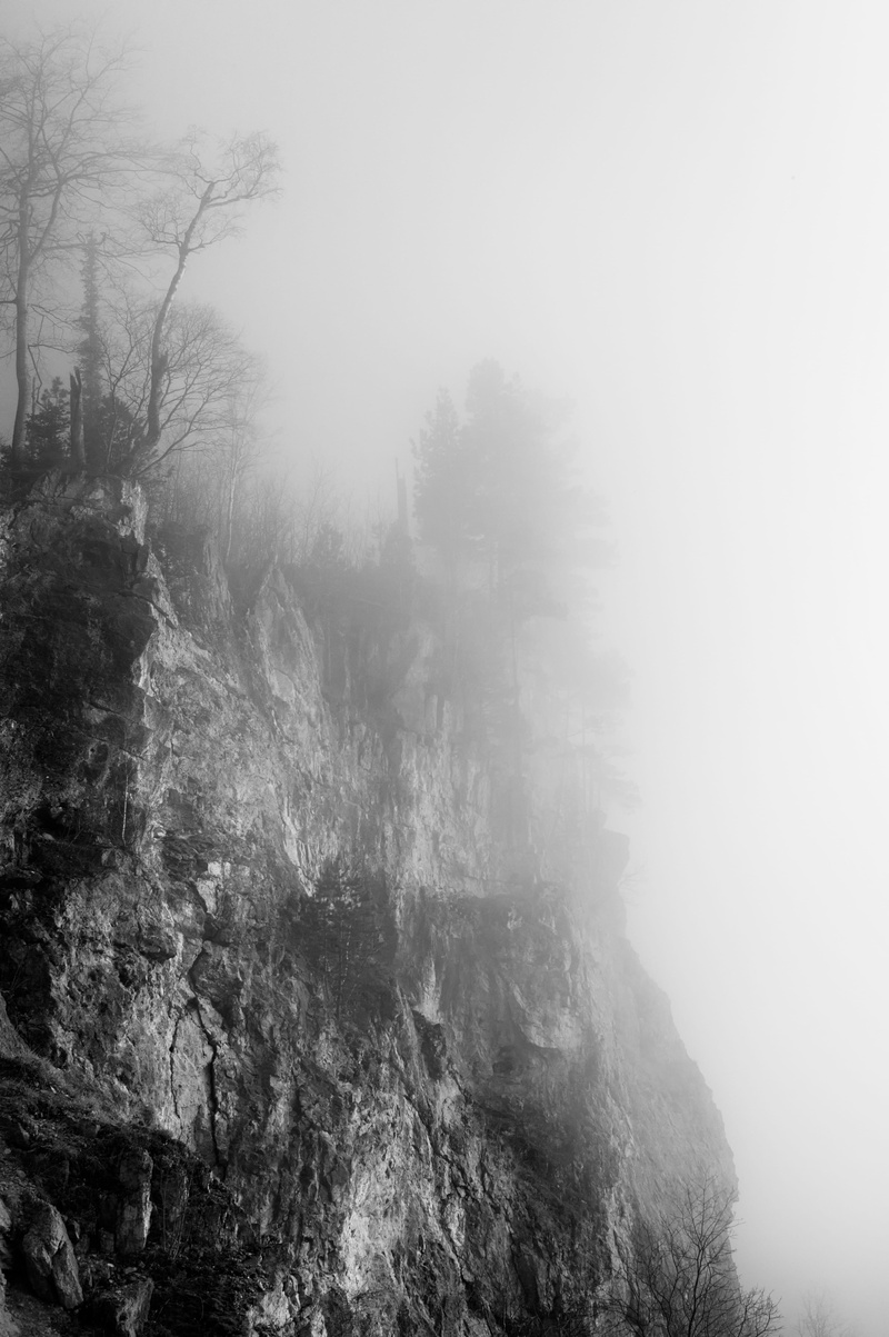 cliff, krasnodar krai, tranquility, no people, land, tree, solid, beauty in nature, landscape, spooky, forest, fog, 4K, textured effect, tranquil scene