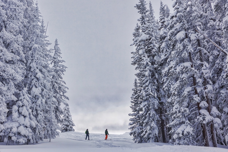 winter, outdoors, cold temperature, 5K, frozen, covering, scenics - nature, united states, tree, leisure activity, mountains, land, forest, warm clothing