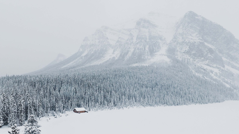 forest, season, environment, peak, tranquil scene, outdoors, tree, ice, pine, glacier, snowy, range, weather, outdoor, non-urban scene, slope, mountains