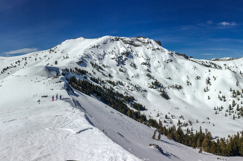 mountain, holiday, outdoors, landscape, sport, powder, cold temperature, pine tree, teens, fun, ice, resort, skiing, fashion, extreme, 5K, active, winter