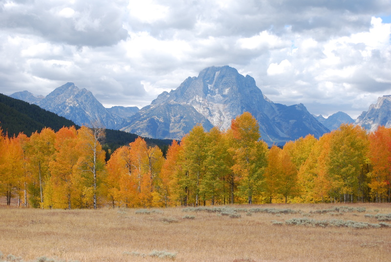 scenics - nature, day, yellowstone, autumn, range, tree, outdoors, aspen, tranquil scene, clouds, wilderness, landscape, national, mountains, fall, change
