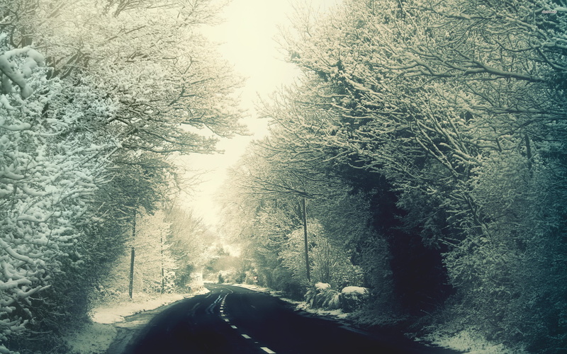 road, 2K, mode of transportation, day, Winter, tranquility, asphalt, passing, sunlight, forest, snow, snowy, no people, land, transportation, the way forward
