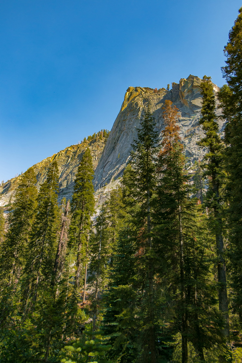 united states, non-urban scene, plant, fores, pine tree, mountain, environment, blue, formation, 4K, sequoia national forest, mountain peak, mountain range