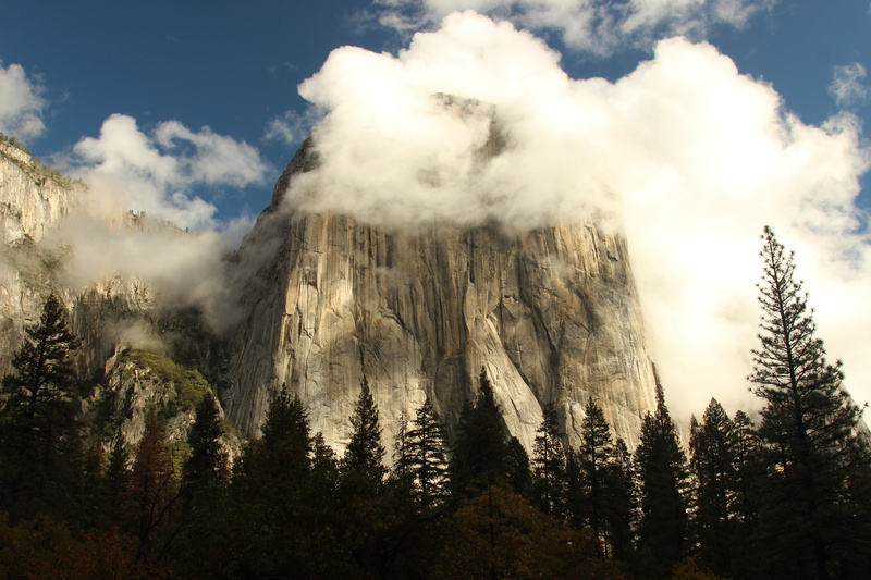 outdoors, tree, idyllic, rock, park, non-urban scene, plant, environment, mountains, land, tranquility, climbing, cloud - sky, el capitano, kapitan, pine tree