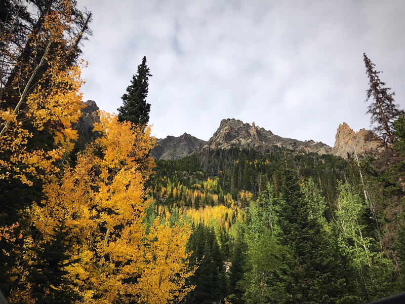 leave, woodland, pine tree, aspen, storm, near, landscape, outdoors, sky, scenics - nature, land, no people, pine, storm cloud, autumn, beauty in nature