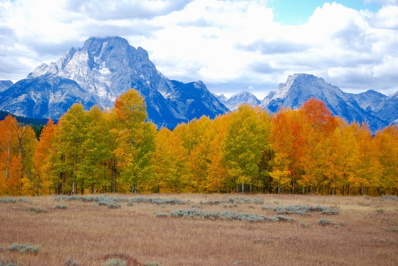 non-urban scene, rocky, tree, landscape, day, fall, sky, clouds, plant, mountain range, no people, scenics - nature, environment, mountain, snow, tranquility
