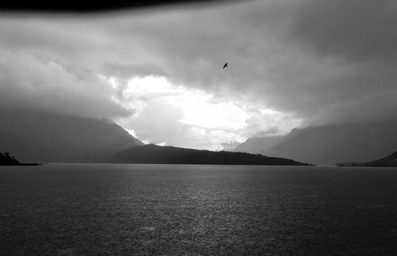 wanderlust, hope, mountain, animal themes, cloud - sky, outdoors, animal, 4K, land, rain, beauty in nature, tranquil scene, bird, nature, clouds, tranquility