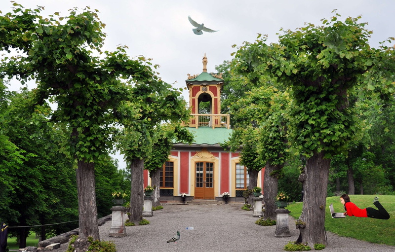 rvores, plant, moca, door, ave, 2K, architecture, green color, flag, nature, outdoors, tree, building exterior, growth, house, sky, the way forward, no people