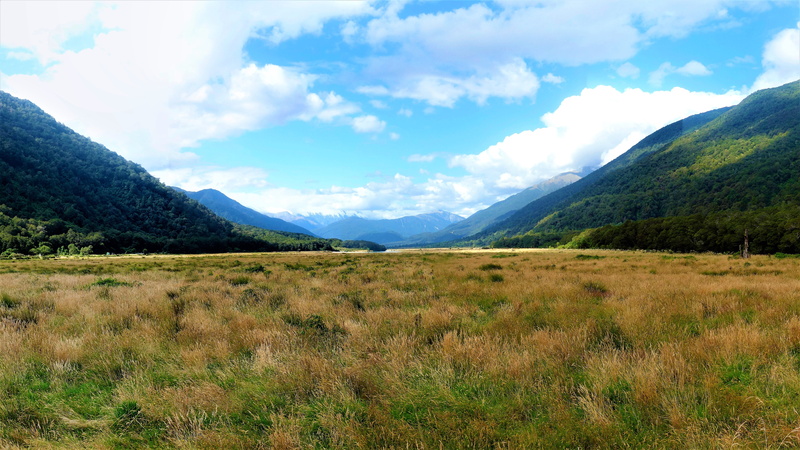 tranquility, cloud - sky, sky, mountain range, beauty in nature, tranquil scene, mountain, land, growth, no people, New Zealand, green, landscape, non-urban scene