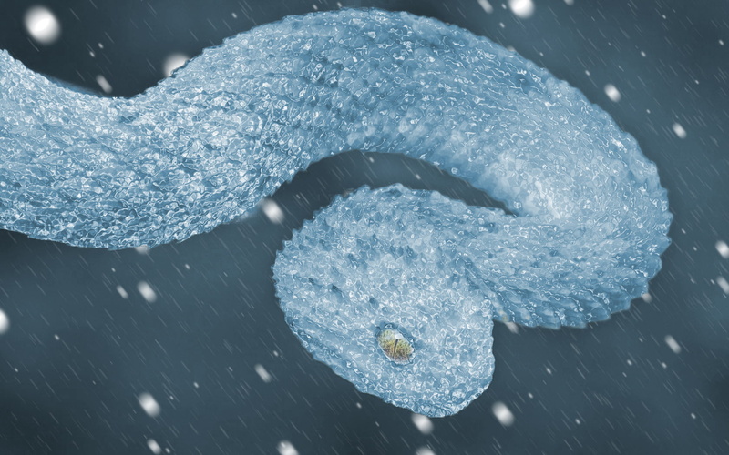 ice, snake, 720P, snow, winter, frost