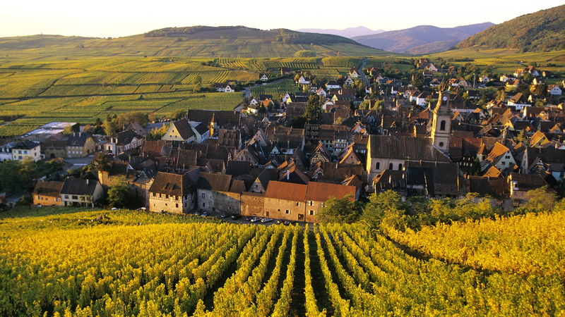 nature, field, 1080P, alsace, town, buildings, vineyard, hd