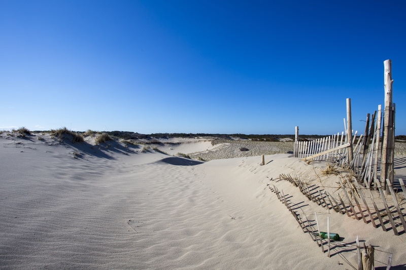 copy space, outdoors, sand, blue, day, climate, massachusetts, fences, 5K, nature, national seashore, land, cape cod, no people, clear sky, arid climate