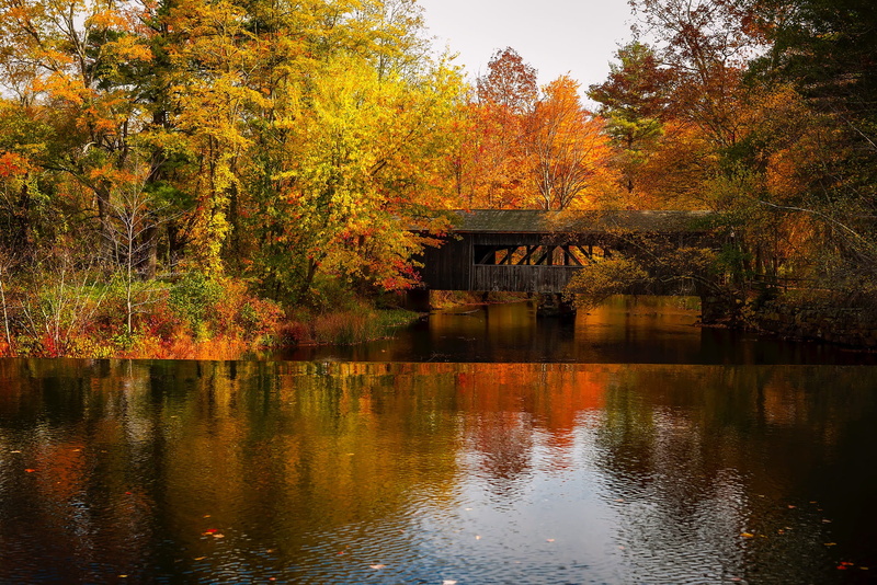 autumn collection, waterfront, body, hdr, covered bridge, day, forest, reflection, sky, trees, tranquility, plant, beauty in nature, landmark, water, massachusetts