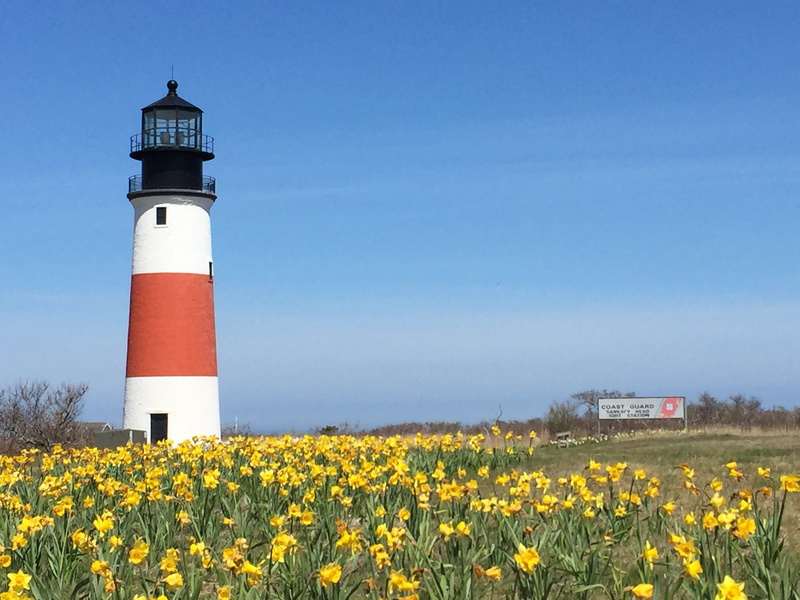 coastline, sconset, copy space, attraction, flower, built structure, tower, scenic, no people, spring, land, outdoors, Sunny Day, landmark, guidance, coast