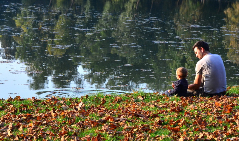 leisure activity, parent, plays, people, grass, sweet, family with one child, t, shirt, lifestyle, lifestyles, gotta love, real people, nature, outdoors