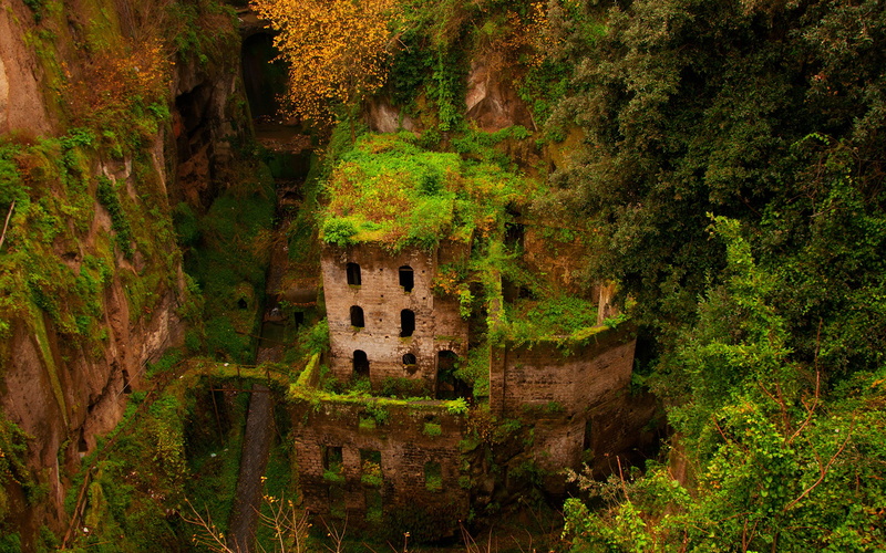 overgrowth, castle, nature, ruins, 1080P, hd