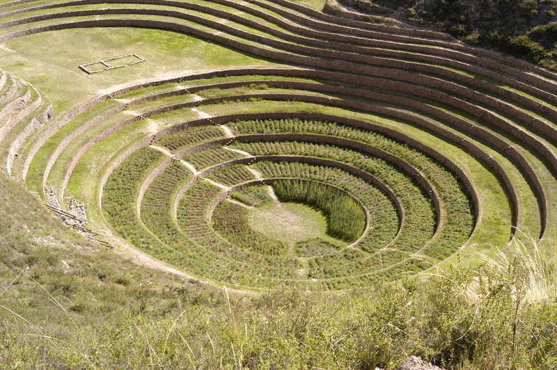 built structure, outdoor, leafed, spiral, concentric, moray, staircase, archaeology, day, high angle view, landscape, natural, circle, wilderness, tranquil