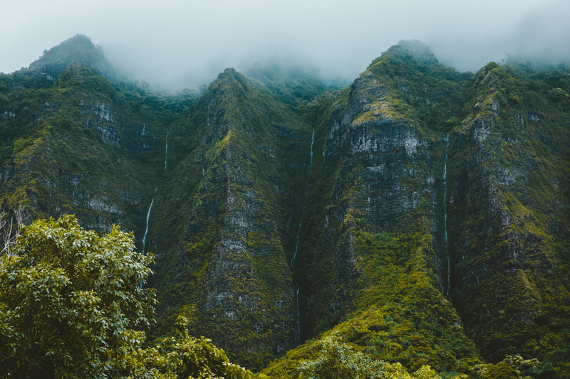 scenics - nature, fog, outdoors, pine woodland, beauty in nature, growth, non-urban scene, famous Place, formation, scenic, no people, tranquil scene, china - East Asia