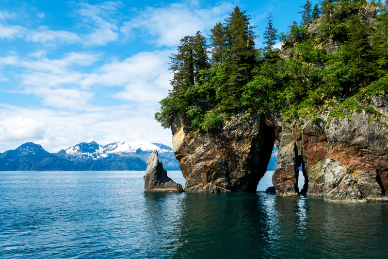 rock, Kenai Fjords, tranquil scene, nature, tree, fjords, Kenai Fjords National Park, day, outdoors, no people, idyllic, cloud - sky, plant, mountains