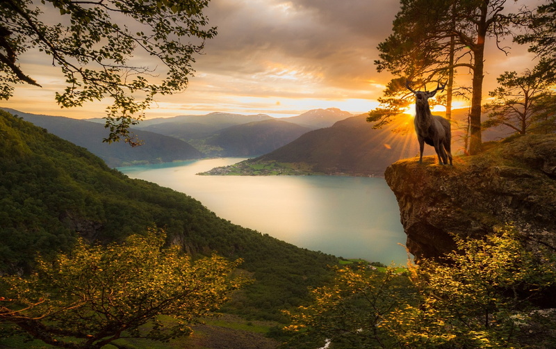 tree, beauty in nature, leisure activity, sky, landscape, idyllic, clouds, tranquil scene, non-urban scene, scenics - nature, deer, Norway, trees, mountains