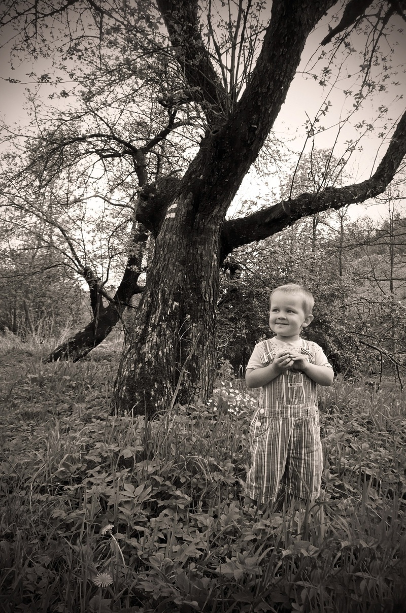 fun, plant, seasons, girls, eye, photography, child, leisure activity, branch, black, finger, one person, background, grandchild, lifestyles, land, people