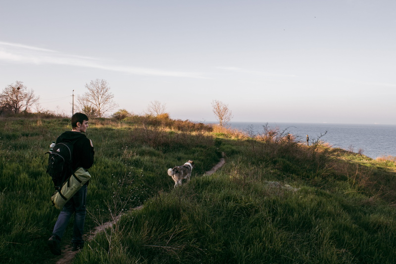 person, grass, nature, sea, dog, 5K, animal, people, nearby, sky, men, one animal, pets, pathway, outdoors, rear view, border collie, landscape, domestic animals