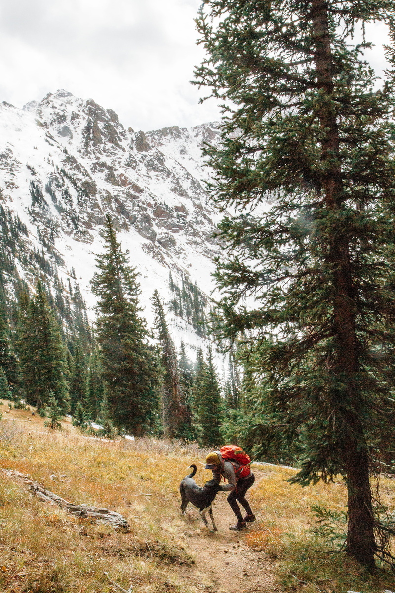 beauty in nature, leisure activity, nearby, forest, dog, one person, real people, tree, winter, plant, woodland, mountain range, land, focus, snow, mountain