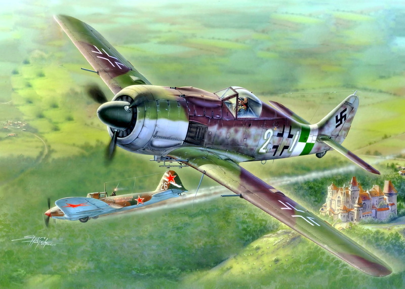 Focke-Wulf 190, 1080P, Il-2, Fw.190A-9, Black Death