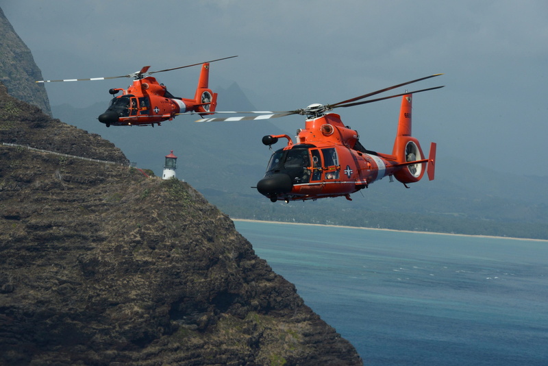 ocean, motion, dolphin, air station, rock - object, sea, military, helicopter, safety, copter, mh-65, rescue, usa, hc130, chopper, mid-air, air vehicle