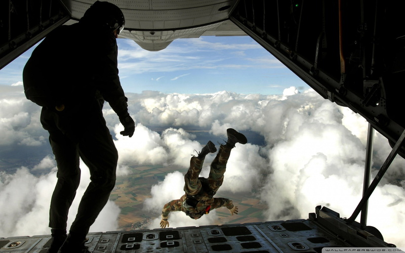 people, vehicle, day, man, sky, motion, military, men, navy, plane, jumping, skydiving, soldier, airplane, nature, courage, two people, flying, government