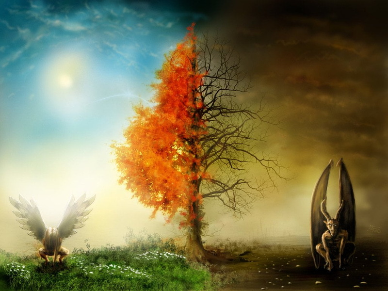 orange Color, scenics, plant, leafed, day, leaf, green Color, Gargoyle, Angel, change, sunlight, tranquility, season, sun, branch, no People, yellow, brown
