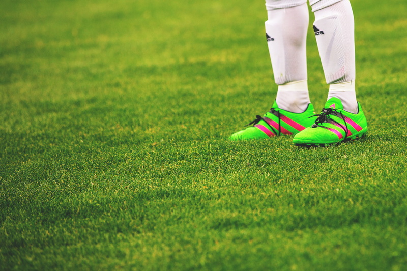 human leg, shoe, golf, health, plant, human limb, limb, sports, man, grass, football, football boots, low section, men, green Color, body part, fitness