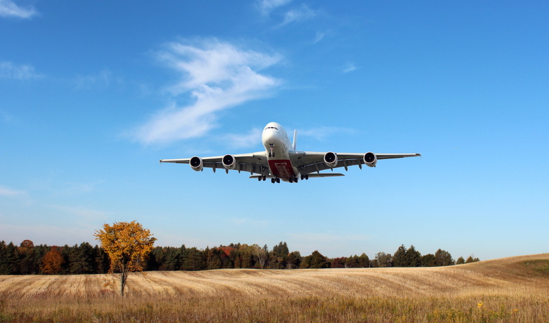tree, 5K, cloud - Sky, Passenger, sky, The sky, travel Destinations, people Traveling, business, red, environment, agriculture, landscape, sunlight, outdoors
