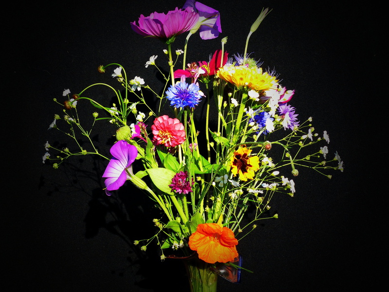 birthday bouquet, cone flower, pointed bouquet, nature, marigold, flower, nasturtium, beauty in nature, flower arrangement, photography, flower meadow