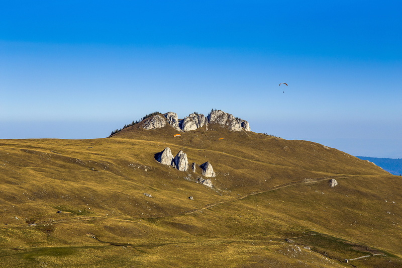 summer, beauty in nature, Hill, nature, 5K, day, animal themes, rock - object, public domain, solid, animal, scenics - nature, grass, bucovina, sky, group of animals