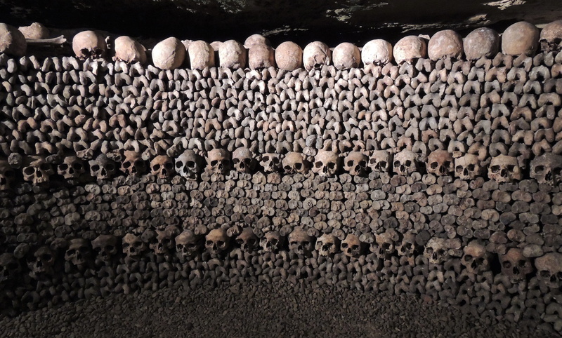 4K, in a row, day, outdoors, skeletons, skeleton, no people, gray, skulls, pattern, bones, land, death, forest, agriculture, abundance, log, catacombs