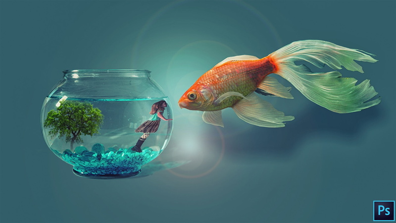 nature, animal, pets, animal wildlife, sea, digital composite, vertebrate, group of animals, digital art, fishbowl, blue background, glass - material, two animals