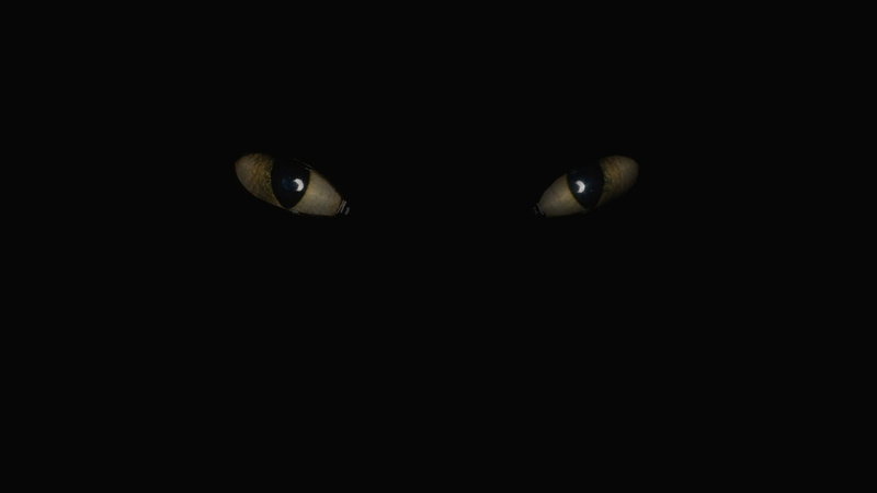 animal eye, animal wildlife, copy space, animals in the wild, studio shot, animal body part, body part, no people, eye, dark, close-up, one animal, reptile