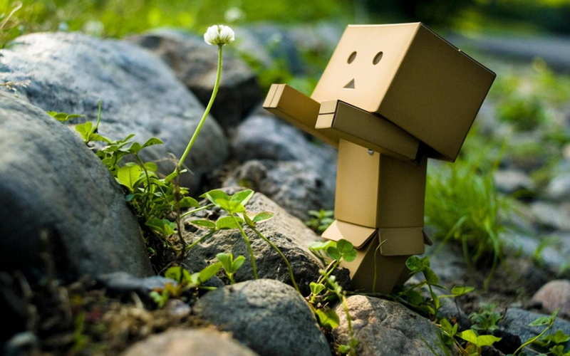 Danbo, 1080P, Amazon