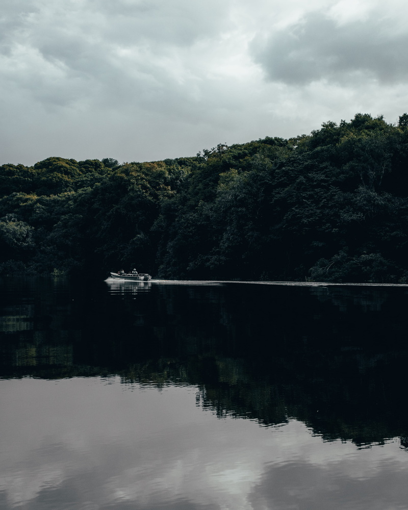 boat, standing water, outdoors, symmetry, day, reflection, amazonia, forest, plant, 4K, amazonas, lake, scenics - nature, idyllic, tree, nature, waterfront