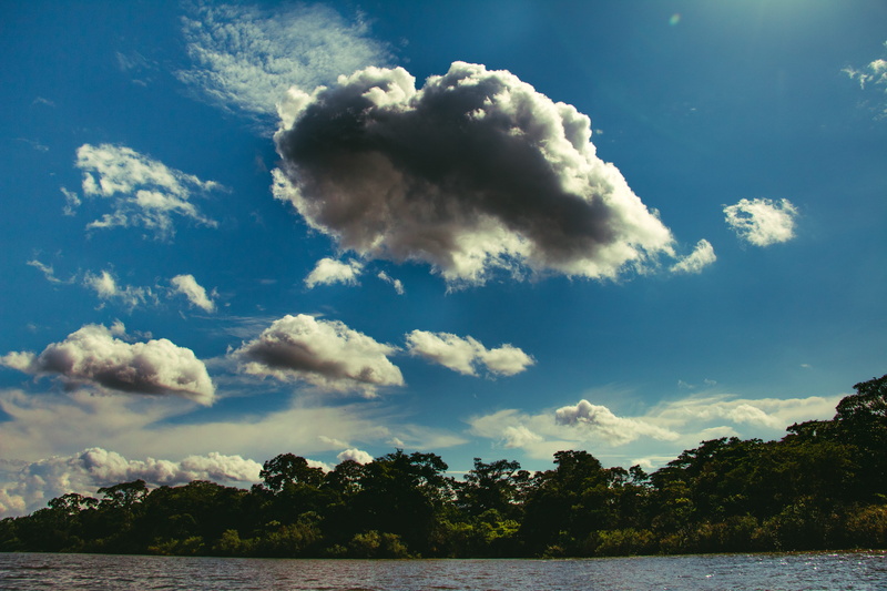outdoors, plant, water, blue, wild, trees, clouds, sky, yarinacocha, sunlight, day, tranquility, nature, scenics - nature, no people, pucallpa, wildlife