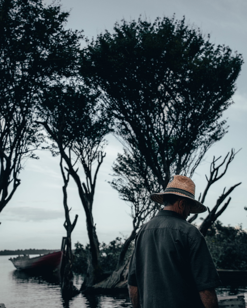 5K, vehicle, men, rear view, sea, growth, plant, hat, real people, clothing, river, boat, lifestyles, amazonia, sun hat, tree, fisherman, nature, person